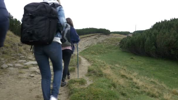 Jeunes amis équipe avec des sacs à dos randonnée le long de la forêt pour installer le camp dans les montagnes — Video