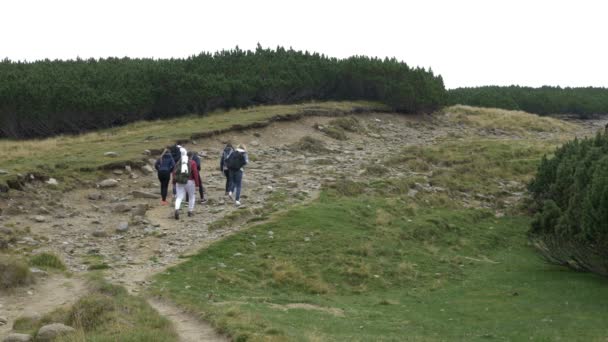 Fiatal táborozó turisták gyalogos túra a festői szépségű hegyi highland, zöld erdők, sziklás láb úton — Stock videók