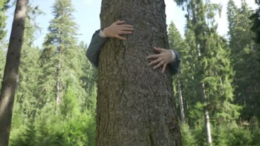 Bir ağaç sarılma genç çevreci kadın closeup teşekkür orman doğada rahatlatıcı