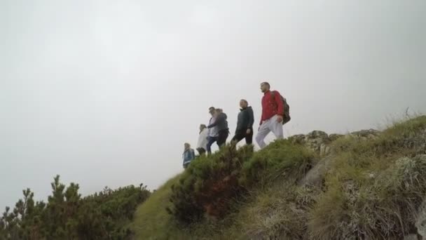 Groep van vrolijke klimmers op de top van de berg verhogen handen concept van succesvolle team — Stockvideo
