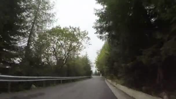 POV malebné horské krajiny viděné z automobilové jízdě na cik cak klikaté silničce přes husté borové lesy na mlžný den — Stock video