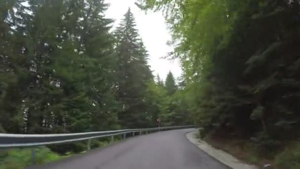 Concepto de viaje de vacaciones en coche conduciendo a lo largo de hermoso bosque denso en las montañas POV de camino sinuoso de madera — Vídeos de Stock