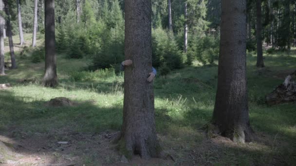 Junge Frau im Wald steht hinter einem Baum und legt die Arme um die Liebe zur Natur — Stockvideo