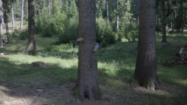 Mladá žena v lese stojící mimo strom díky uvedení do náručí lásky k přírodě koncept
