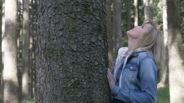 Чувствительная красивая женщина ласкает и обнимает дерево в лесу — стоковое видео