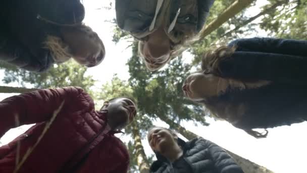 Groep van millennials in het forest plaatsen hun handen in een cirkel vieren van succes en motiverende zakenreis — Stockvideo