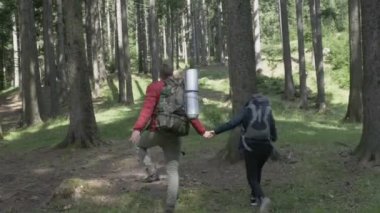 Eğleniyor aşık mutlu çift ormanda yürüyüş etrafında kandıramazsın