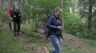 Sırt çantaları ile orman iz birlikte hiking woods keşfetmek ile maceracı genç grup