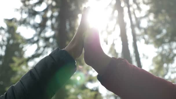 Closeup of young lovers joying hands winter sun shining among brunches of forest trees on background — Stock Video