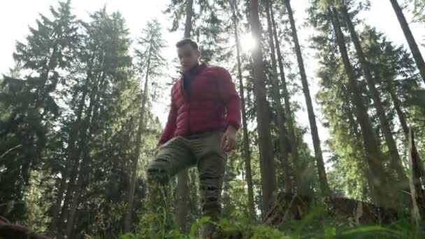 Bonito jovem caminhando sozinho desfrutando da bela vista em uma floresta — Vídeo de Stock