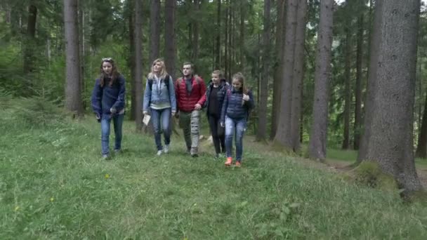 Ontspannen tiener wandelaars lopen door het bos op een hoogteweg genieten van de schoonheid van berglandschap en praten — Stockvideo