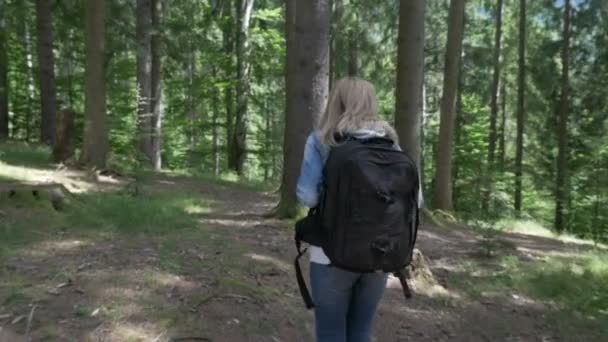 Bionda escursionista donna con zaino a piedi sul sentiero di boschi sentiero di montagna — Video Stock