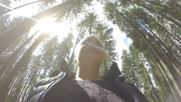 Pov de jovem turista desfrutando da natureza em um dia ensolarado em uma floresta de pinheiros 360 rotação ver relaxamento lazer e conceito de viagem — Vídeo de Stock