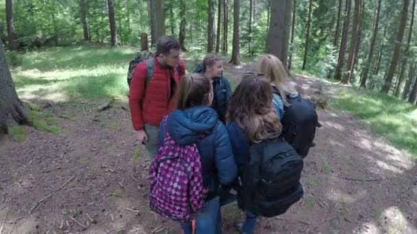 Adolescenti amici viaggiatori che guardano la mappa pianificazione di trekking attraverso il concetto di foresta escursionismo e avventura nella foresta — Video Stock