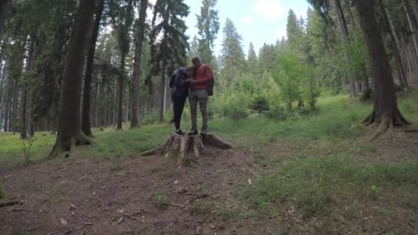 Caminhadas mochileiros casal na floresta olhando para o mapa GPS usando no smartphone durante a viagem de acampamento — Vídeo de Stock