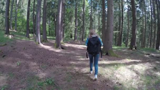 ゆっくり歩いて、山の森林を眺めながらのバックパックで若い女性キャンパー — ストック動画