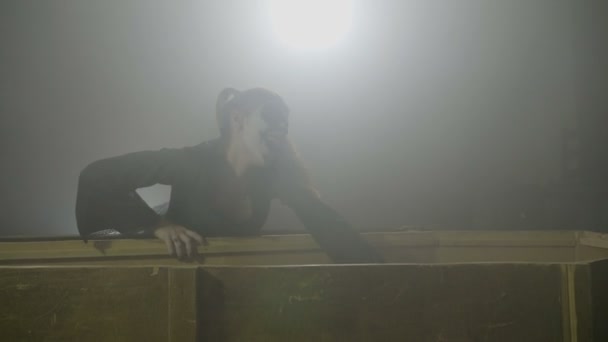 Läskiga kvinnliga dolly zombie stänga hennes vampyr partner i sin Kista och skrattar galet på halloween dag dödas — Stockvideo