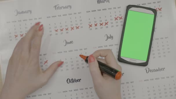 Vista dall'alto delle mani della donna che segnano le date del periodo sul calendario pianificando il controllo delle nascite mentre guarda lo smartphone con lo schermo verde sulla sua scrivania — Video Stock