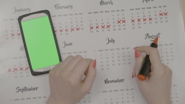 Вид сверху женских рук, пересекающих календарные дни, планируя сэкономить деньги, пока скользит смартфон с зеленым экраном, чтобы проверить даты — стоковое видео