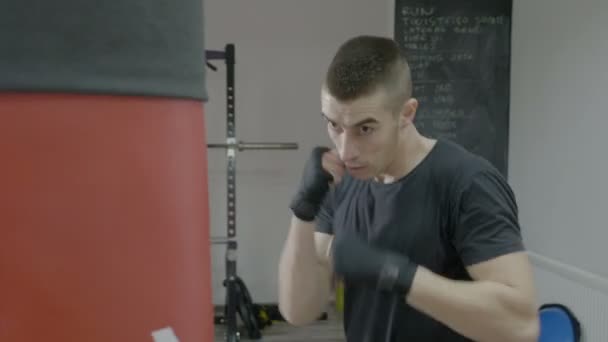 Perfil del atleta de artes marciales mixtas boxeando el saco de boxeo nerviosamente usando movimientos rápidos — Vídeos de Stock