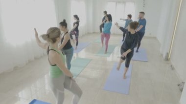 Normal insanlar ile gerçek bir spor stüdyosu yoga sınıfında sırasında pratik denge organları