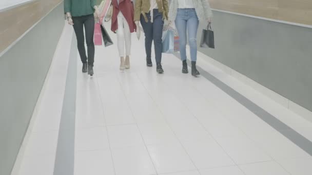 Закрытие женщин в различных стилях одежды и обуви, идущих в грязи, держа в руках сумки с покупками — стоковое видео