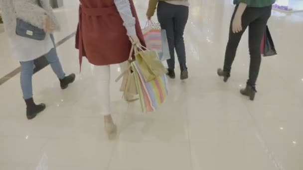 Visão traseira de um grupo de mulheres na moda jovens andando e levando sacos de compras no shopping — Vídeo de Stock