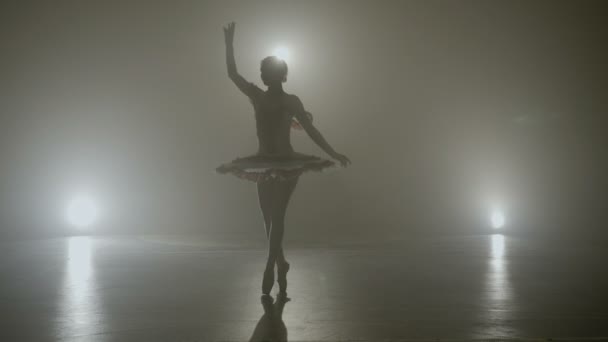 Young skinny graceful ballerina dancing on a dark stage as part of the audition for an a show — Stock Video