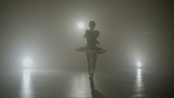 Graziosa ballerina vestita di bianco che esegue una meravigliosa danza su un palcoscenico nebbioso — Video Stock