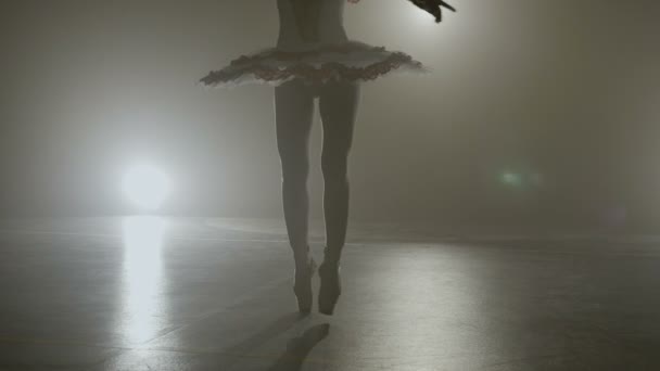 Belle silhouette de ballerine maigre en costume de tutu blanc dansant tout en s'échauffant dans un studio sombre professionnel — Video