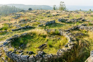 Plato Citania de Sanfins