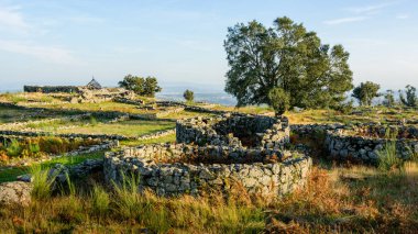 Plato Citania de Sanfins