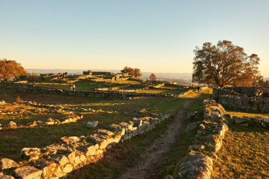 Plato Citania de Sanfins