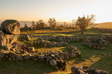 Plato Citania de Sanfins