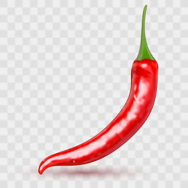 Red hot natural chili pepper pod realistisches Bild mit Schatten für kulinarische Produkte und Rezepte Vektorillustration — Stockvektor