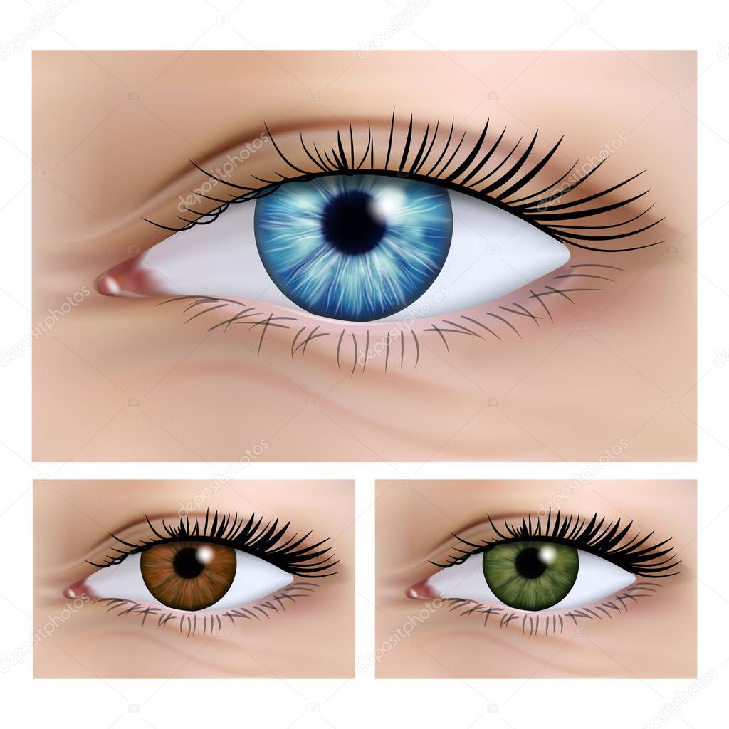 Realistic vector set of human female eyes close-up. 