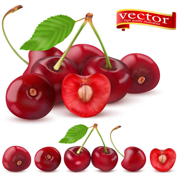 Sweet Vector 3D Realistic Cherry, isolated on white background.