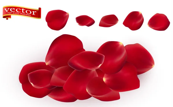 Red rose petals set, isolated on white, vector illustration. Red rose petals vector high detail. — Stock Vector