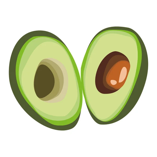 Dit Een Illustratie Van Een Geopende Avocado — Stockvector
