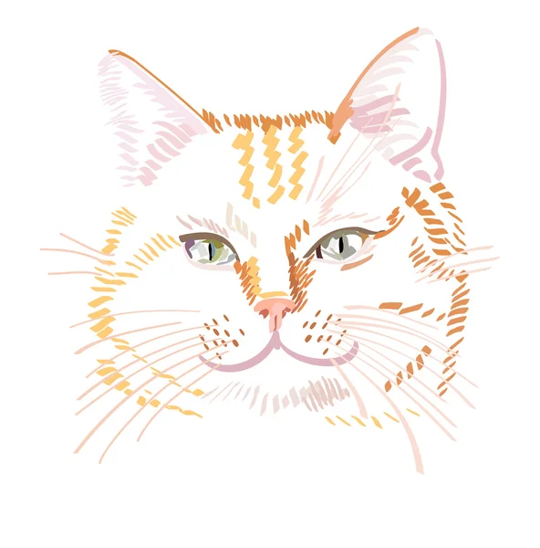 Vectorillustratie van rode kat portret — Stockvector