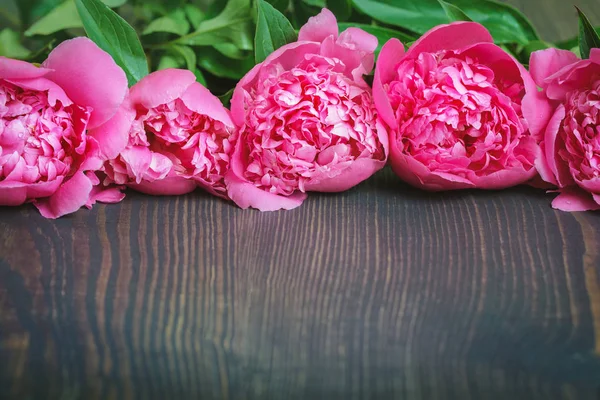 Peonie rosse e rosa su un tavolo di legno. Bellissimo sfondo floreale . — Foto Stock