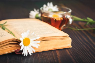 Fincan çay, papatya ve masanın üzerine bir kitap