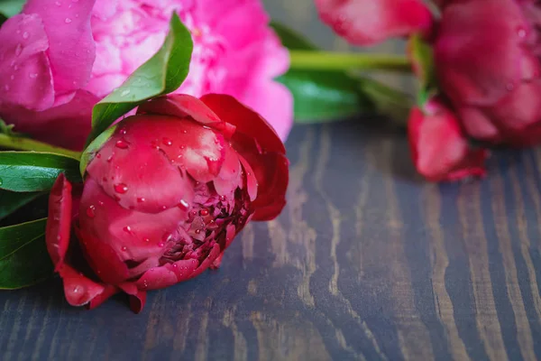 Peonie rosse e rosa su un tavolo di legno. Bellissimo sfondo floreale . — Foto Stock