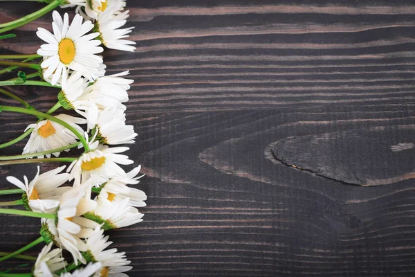 Daisy fiori di camomilla su sfondo di legno . — Foto Stock