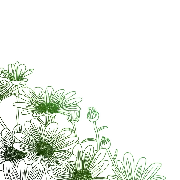 Flores de margarita sobre un fondo verde, dibujo de contorno . — Vector de stock