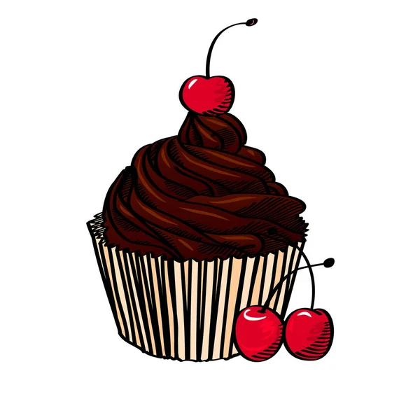 Schokoladen-Cupcake mit Kirsche, isoliert auf weißem Hintergrund, Vektorillustration — Stockvektor