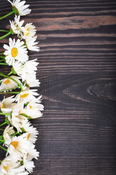 Kwiaty rumianku Daisy na drewniane tła. — Zdjęcie stockowe
