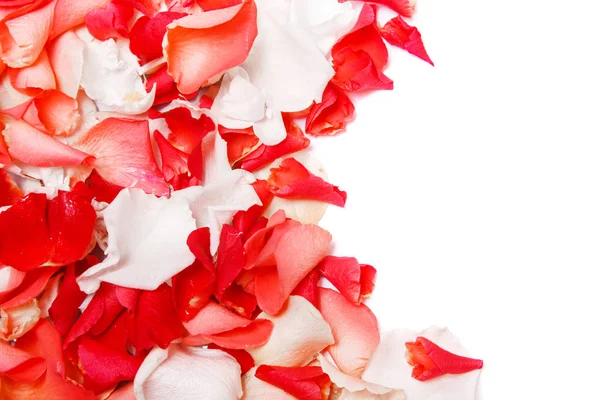 Background of rose petals — Stock Photo, Image
