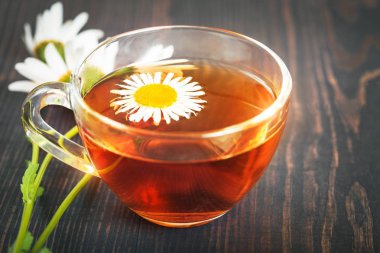 Şeffaf Kupası closeup içinde papatya çayı. Bitkisel Tıp kavramı.