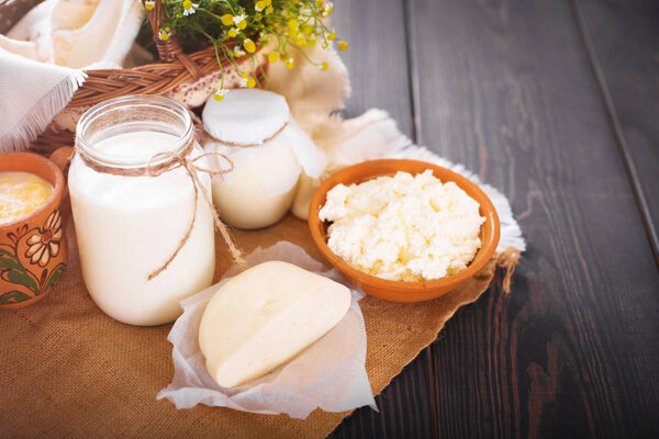 Assorted dairy products milk, yogurt, cottage cheese, sour cream. Rustic still life.